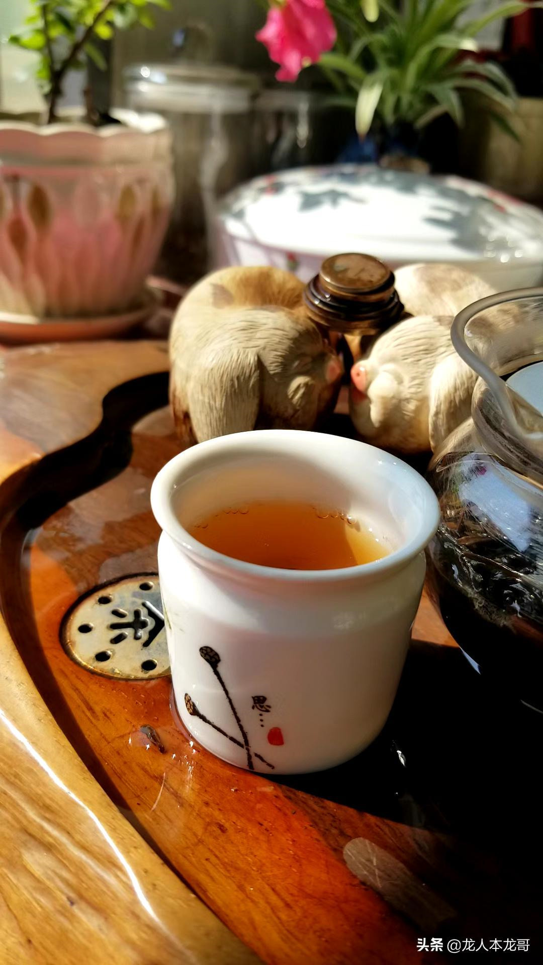 根据不同的萎凋方法，才能产出优质白茶。